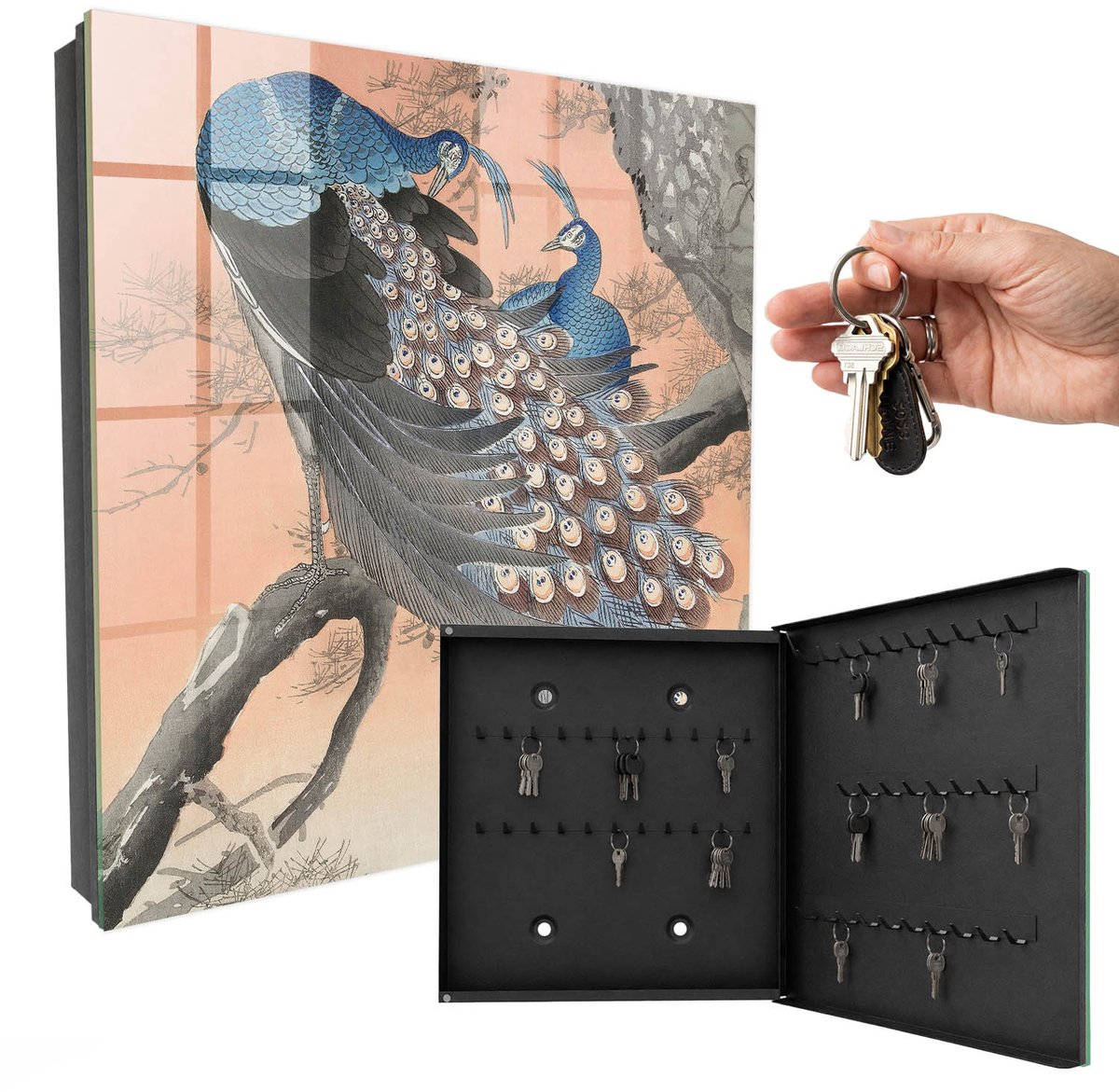WallMuralia - Sleutelkast - 30x30x5 cm - met 50 haken - Pauw Schoonheid Sleutelkastje Klein - Blauw Sleutelbox - Rechtsopenend - Zwart interieur