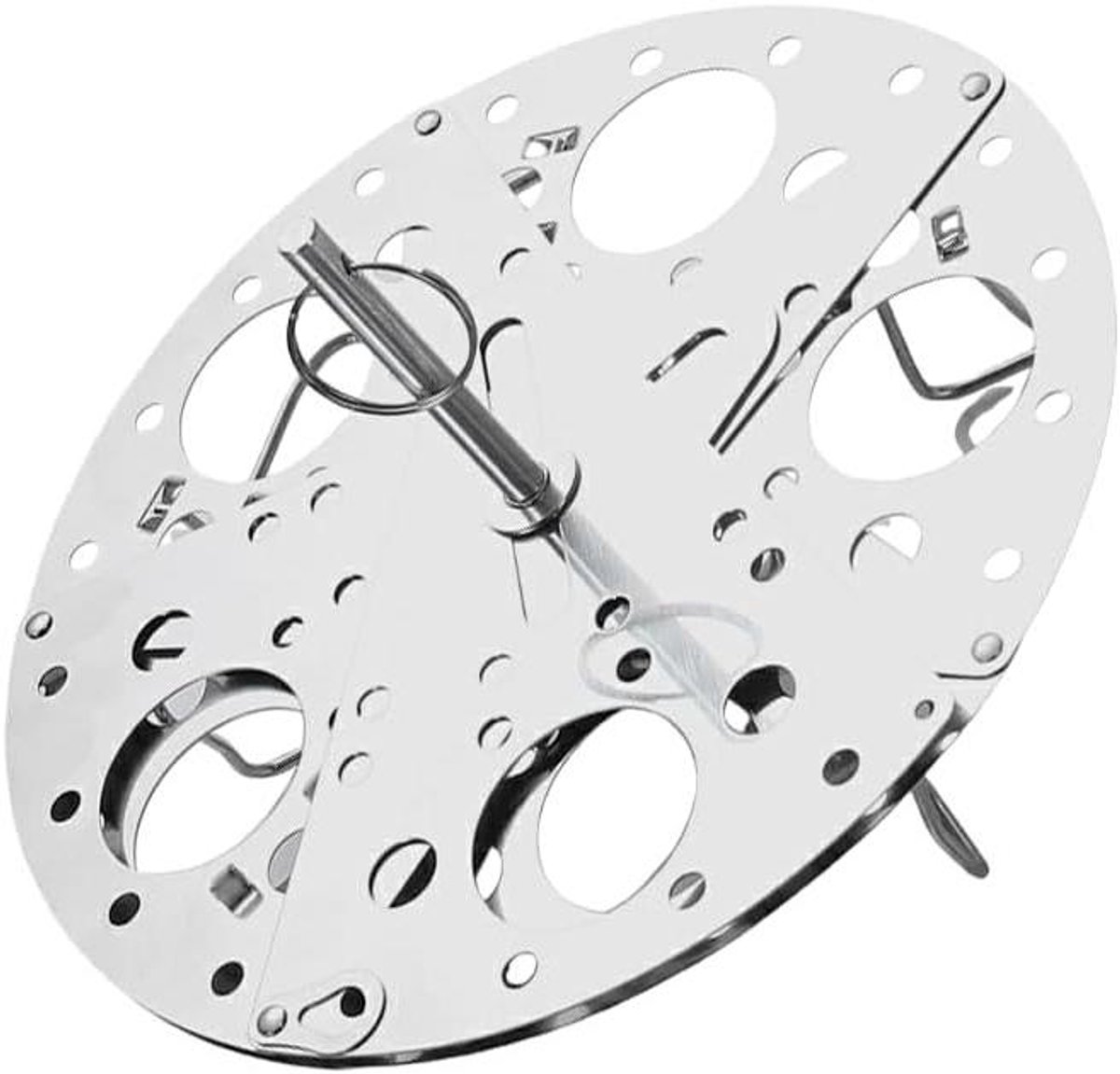 Stoommand RVS - Stoominzet Pan - Gezond Koken - Verstelbaar - 23 cm - Zilver