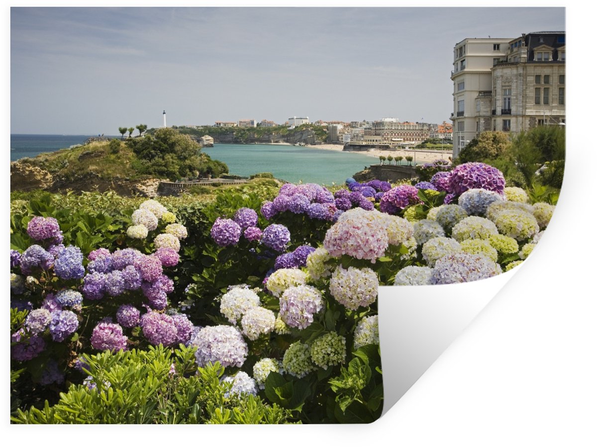 Muurstickers - Sticker Folie - Hortensias bij de zee - 40x30 cm - Plakfolie - Muurstickers