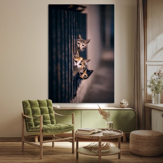 Les Chats regardent curieusement au coin de la rue 120x180 cm XXL / Groot format ! - Tirage photo sur Poster (décoration murale salon / chambre)