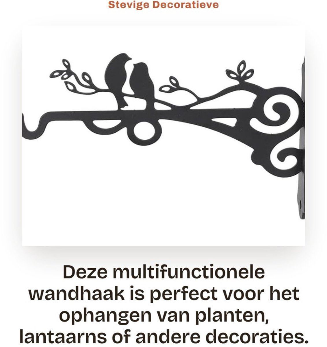 Dailygoods- Plantenhanger Stevige IJzerconstructie - Wandhaak voor Bloemmand - Ondersteunt Tot 6 kg - Eenvoudige Installatie - Elegante Zwarte Stijl - Geschikt voor Binnen/Buiten