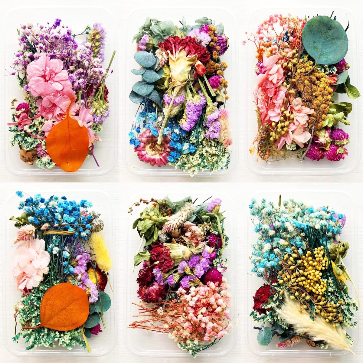 Dailygoods - 2 stuks natuurlijke gedroogde bloemen, gedroogde bloemen, gedroogde natuurlijke bloemenbladeren, geschikt voor het maken van zakken, ornamenten (2 stuks willekeurig)