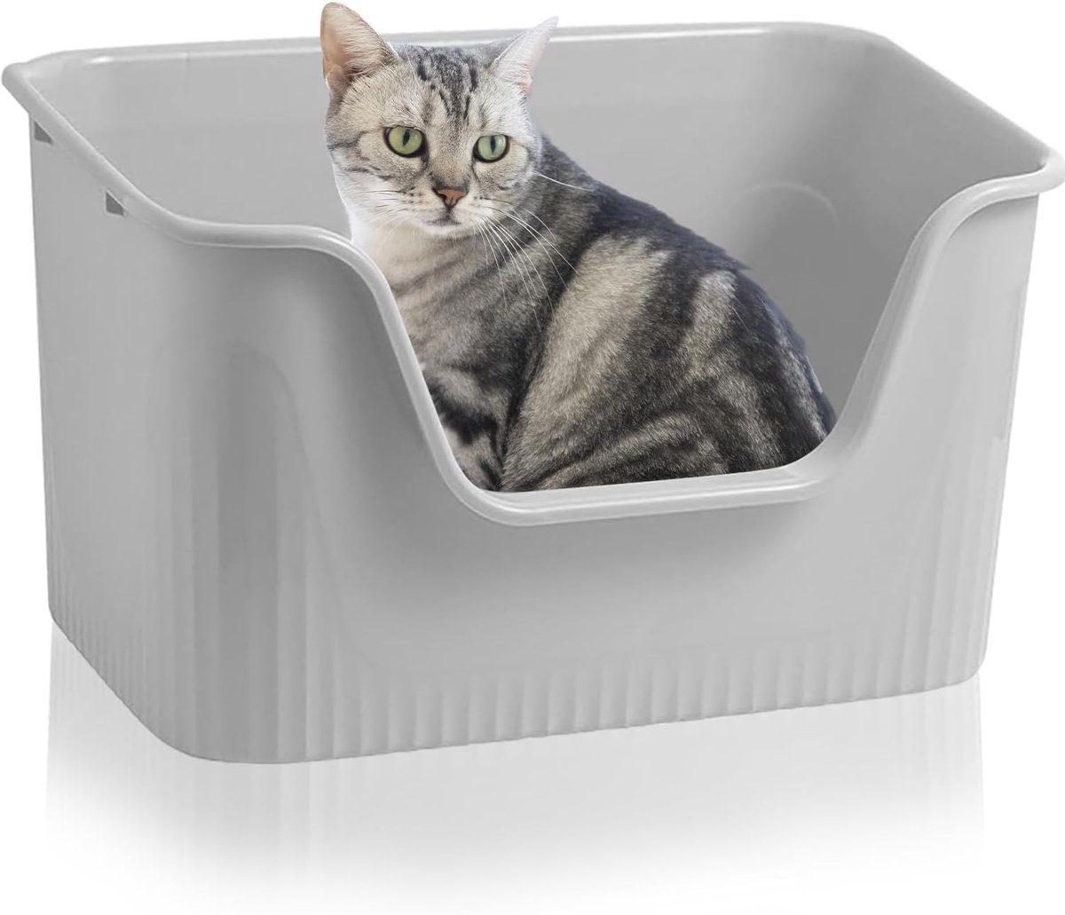 Kattenbak met Hoge Rand,64×45×33cm,Grote Kattentoilet,KattenbakXXL,Zonder Deksel,KattenbakVoor Kat,Konijn,Kittens(Groot Grijs)