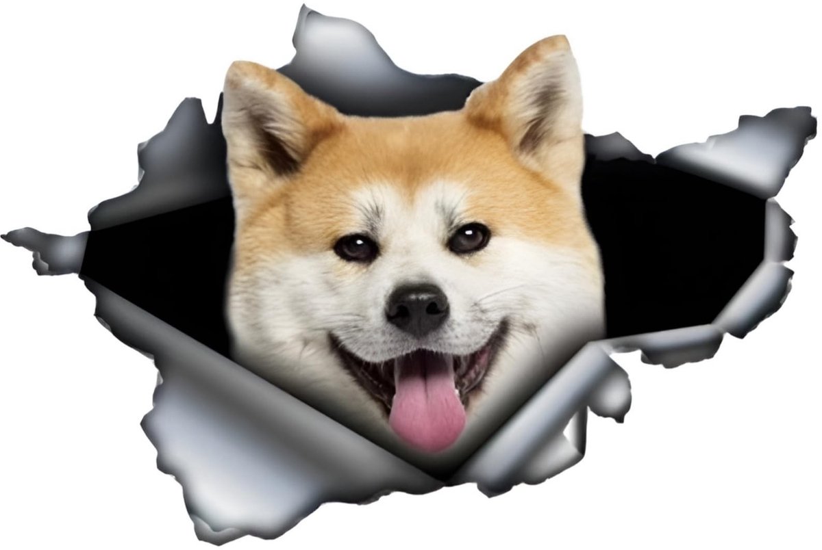 SolidKeus - 3D Autosticker Hond, Waterdicht en Krasbestendig