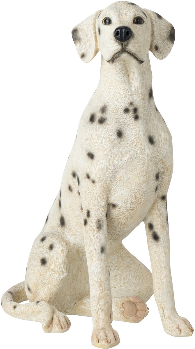 J-Line Dalmatiër - polyresin - wit/zwart - large