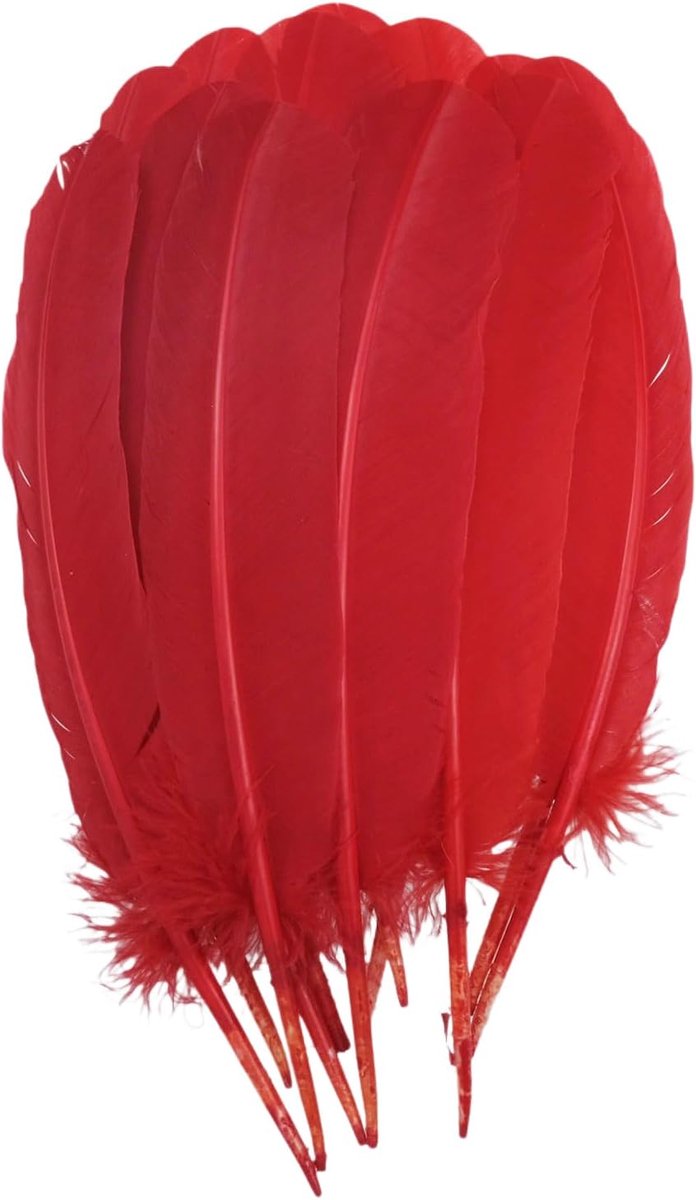 Veren 25-30 cm, 24 stuks veren bulk voor knutselen, doe-het-zelf natuurlijke grote verenambachten voor decoraties (rood)