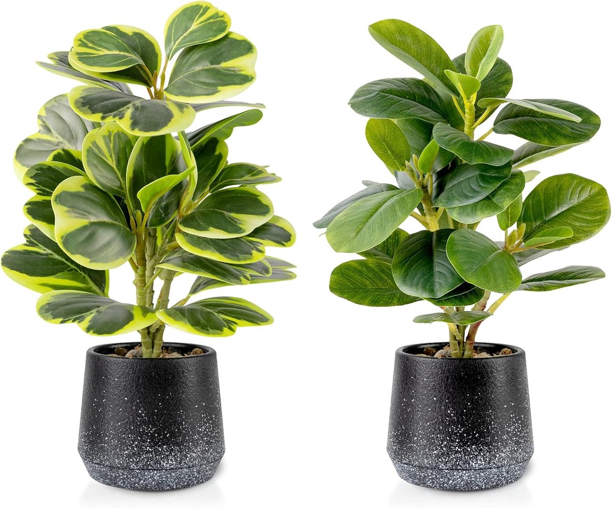 2 stuks realistische kunstmatige potplanten Peperomia Obtusifolia, 28 cm klein kunstgroen voor bureau, badkamer, kantoor of woondecoratie (groenblijvend, onderhoudsvrij)