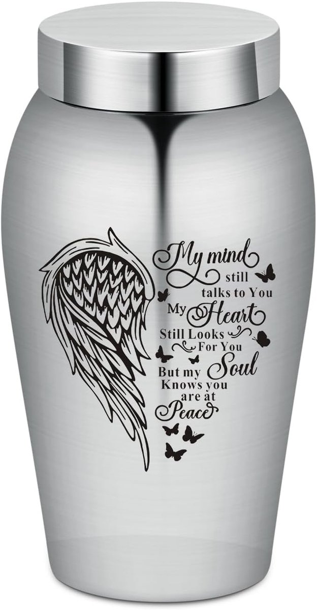 SnelShoppen - Pet Memorial Urn Container Pot Herdenkingsurn Mini Urns RVS Dierenurnen voor Honden Katten As en Aarde met Schroefdeksel (Vleugel Hart)