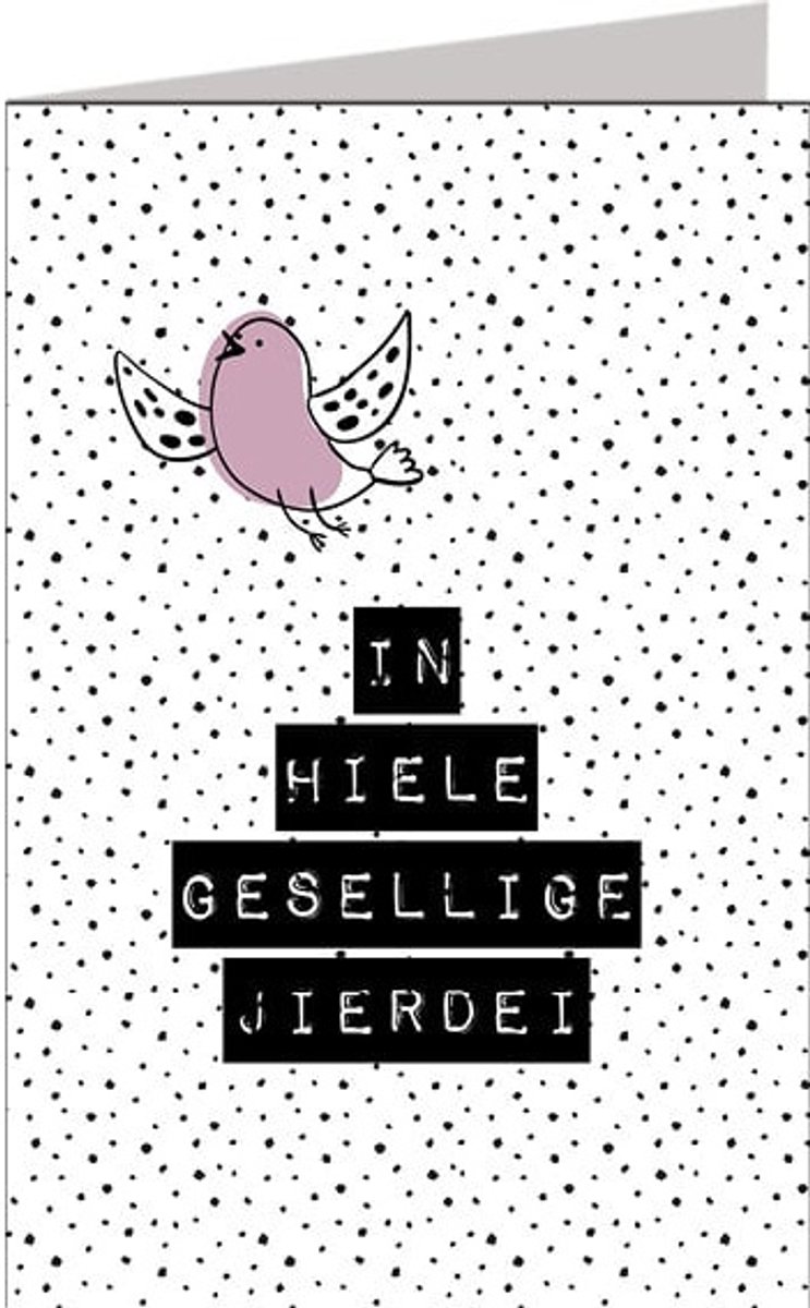 Friese kaarten Jillz | 11x17 | 6 stuks | Vak 114