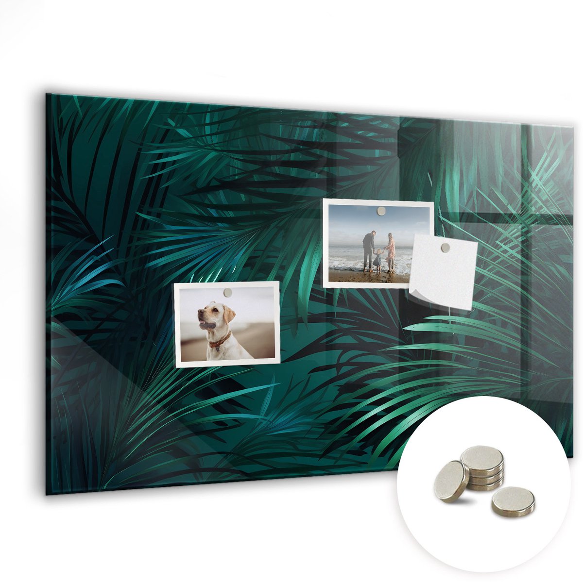 Coloray Glazen Magneetbord - Magnetisch Bord Tropische bladeren - 60x40 cm - Groente Magneetbord - Magnetic Board - Magneetbord Design