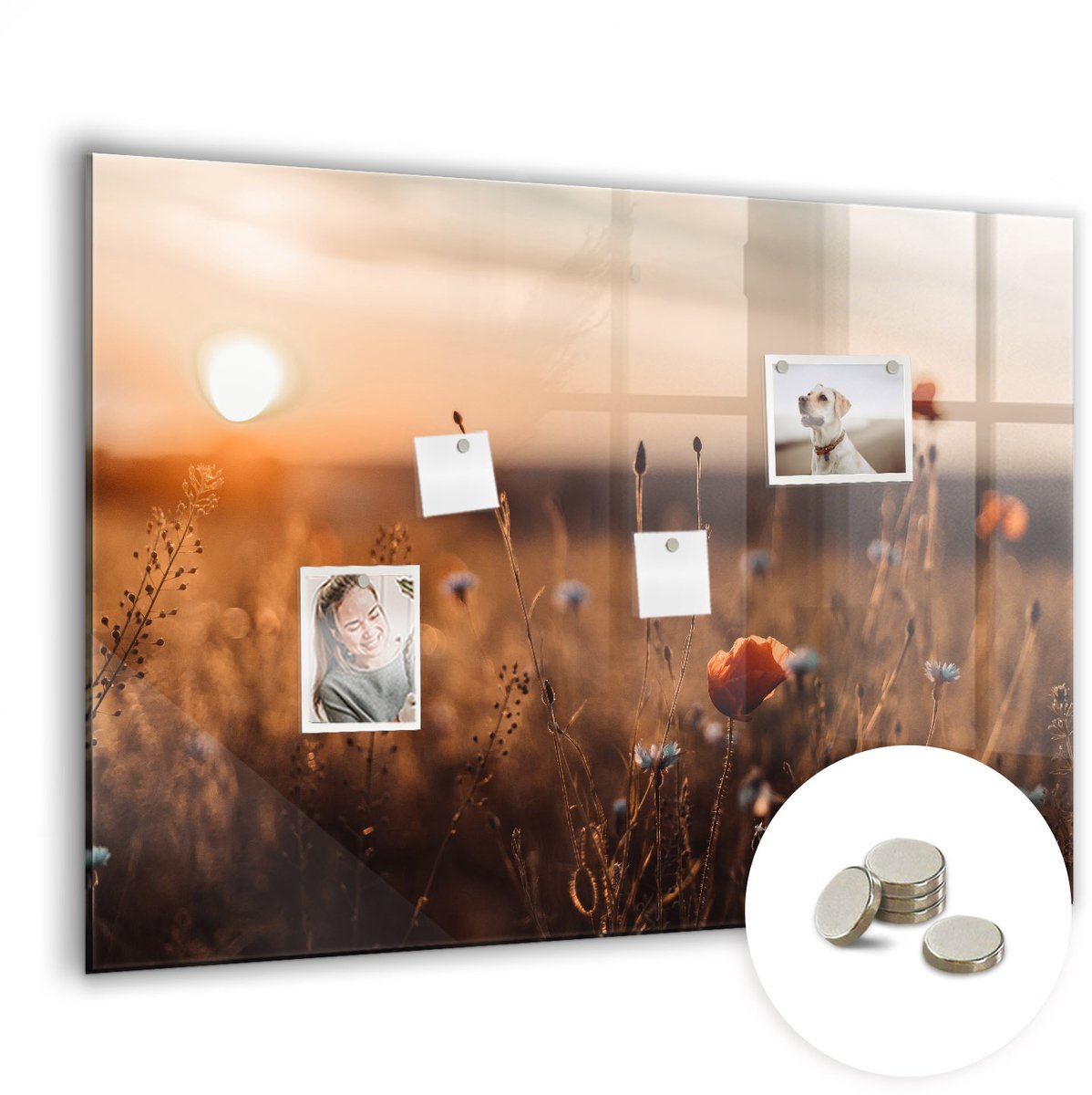 Coloray Glazen Magneetbord - Magnetisch Bord Laten we op reis gaan. - 100x70 cm - Veelkleurig Magneetbord - Magnetic Board - Glazen Magneetbord