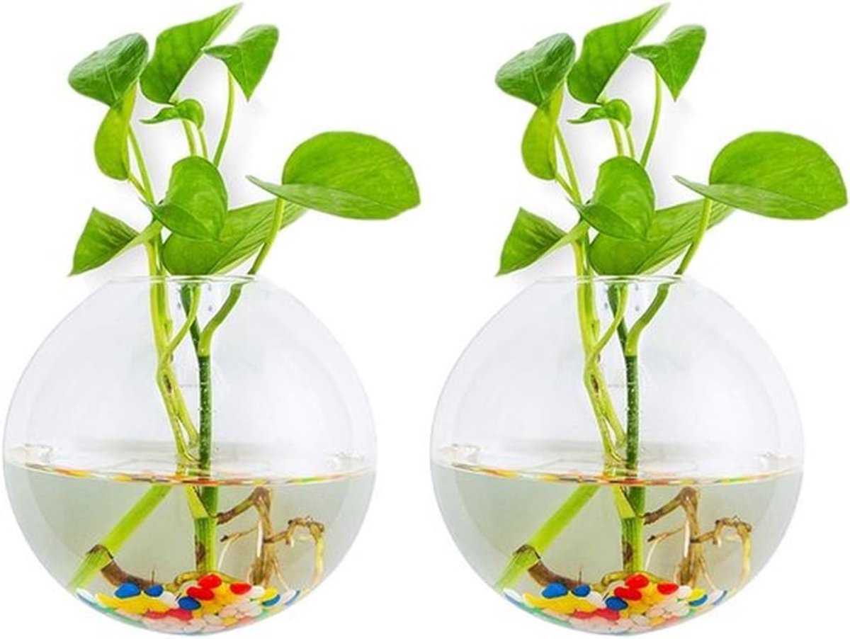 Set van 2 Ball Shape Hangende Plantenpotten met Terrarium Container en Kleurige Steentjes voor Binnen en Buiten, Perfect voor Thuis, Tuin en Kantoor