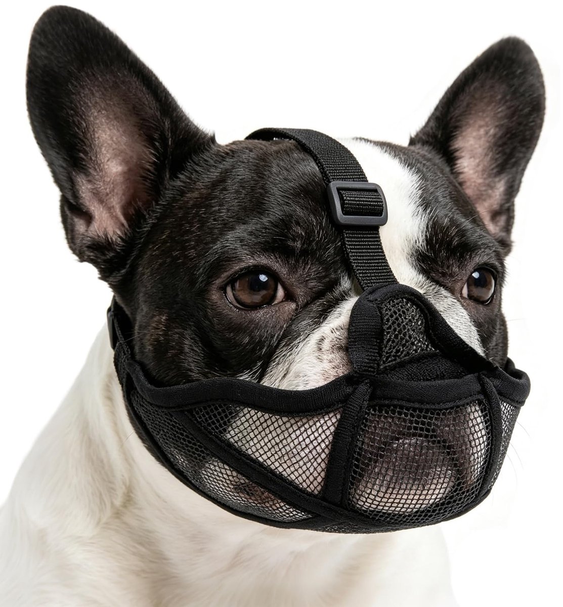 Solidchoice - Snuitje voor Franse Bulldog - Ademend Mesh, Maat S