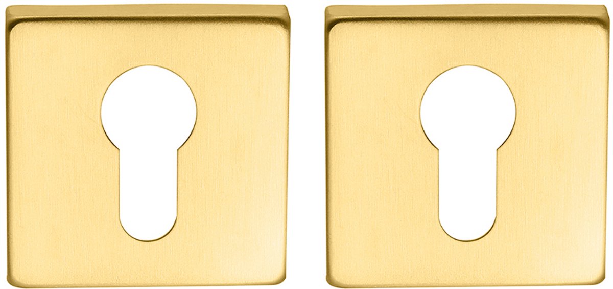 Cilinderrozet vierkant 53x53x8,9mm mat goud PVD gecoat