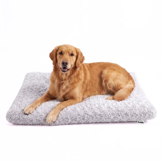 Golden retriever allongé sur un coussin pour chien gris et pelucheux.