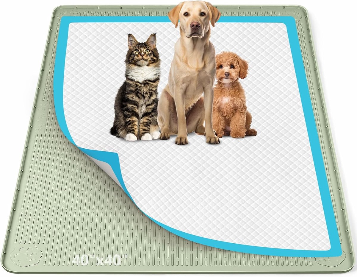101 x 101 cm siliconen urinopvangmat met hoge rand voor honden, katten, konijnen, lekvrij, hondentrainingsmatten ter bescherming van de vloer thuis (groen)