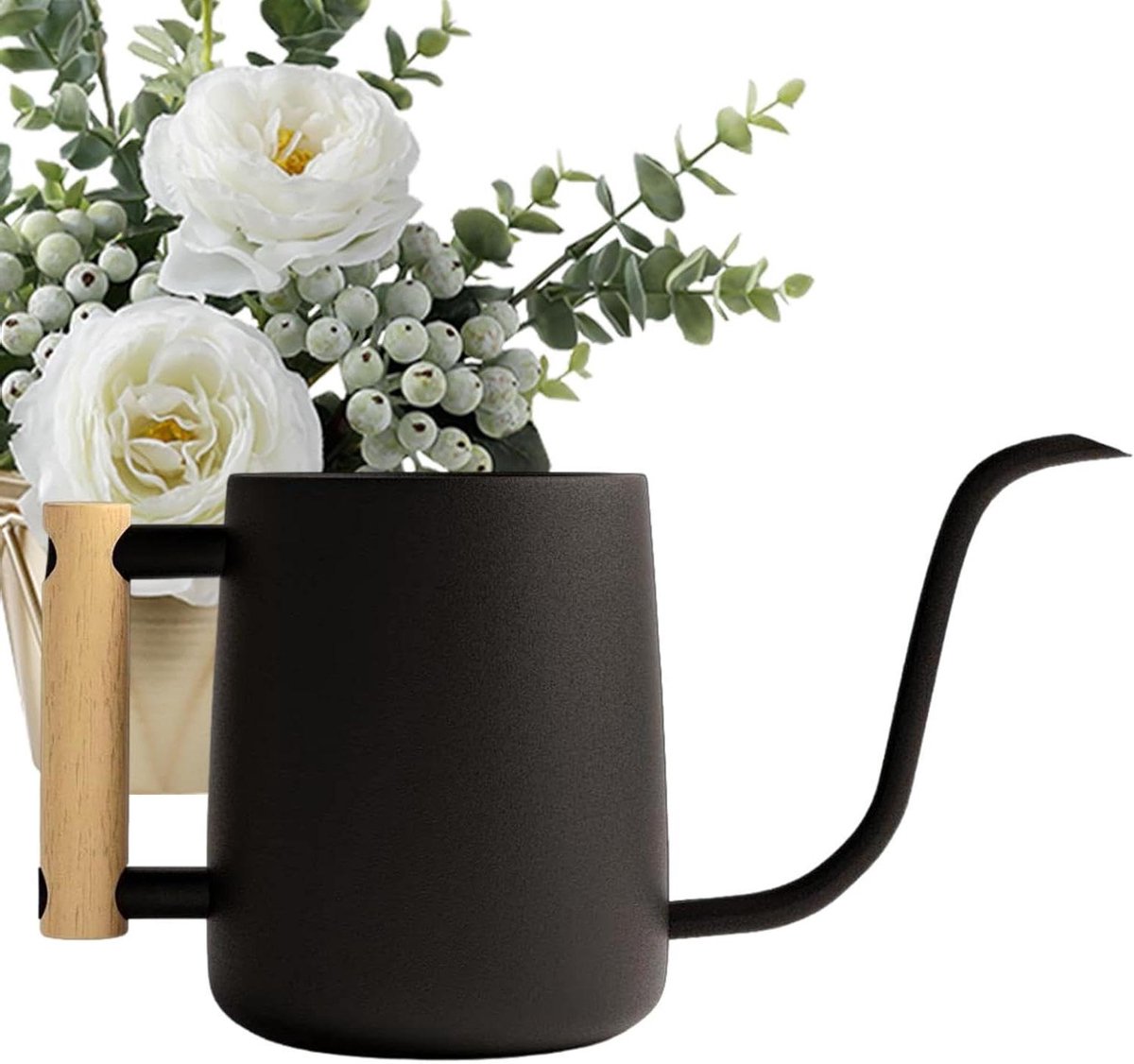 Gieter met Lange Tuit - Waterkan Kamerplanten - Planten Water Geven - Roestvrij Staal - 1 Liter - Zwart