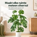 Plante artificielle verte Monstera aux feuilles tachetées multicolores dans un pot blanc, dans un salon décoré de manière attrayante.