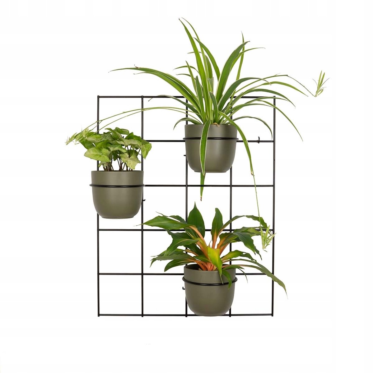 Hedera 3 Wandbloemenrek met 3 Ringen - Loft Stijl Zwart Metaal