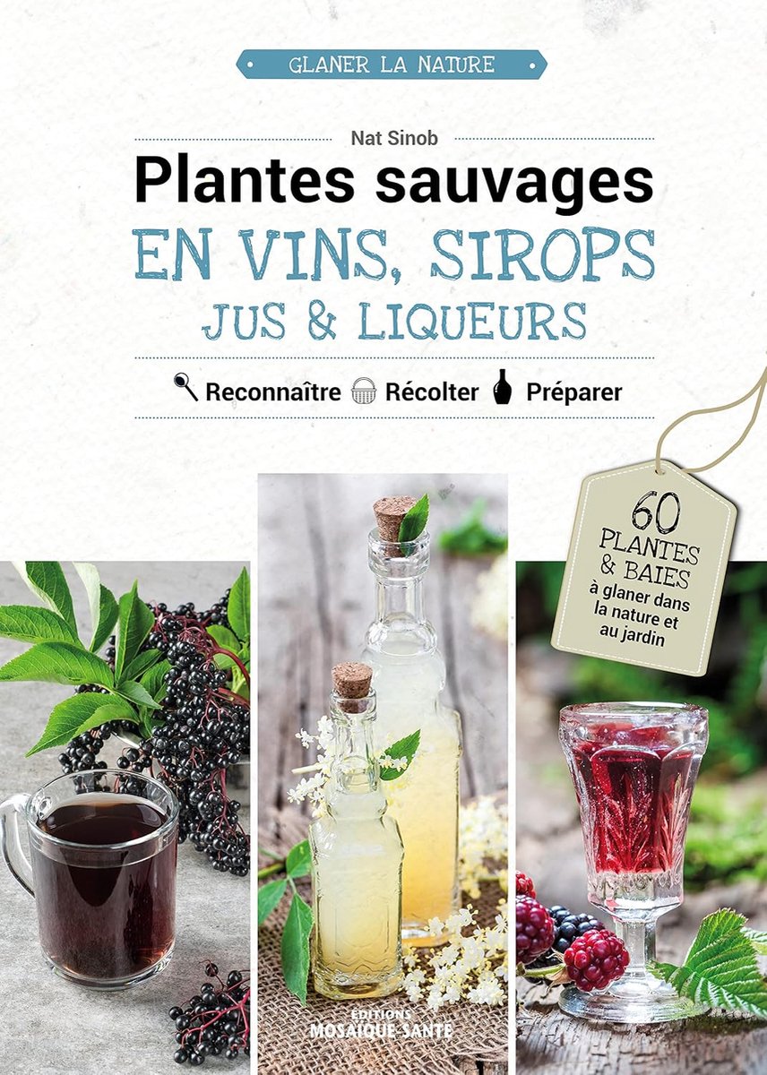 Plantes sauvages en vins, sirops, jus & liqueurs: Reconnaître, récolter, préparer