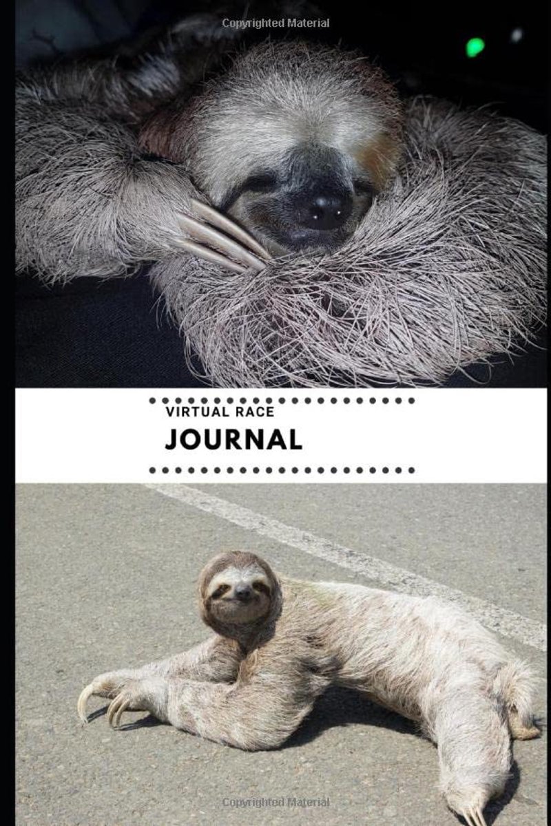 Virtual Race Journal