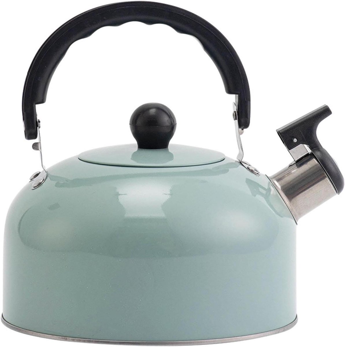 Theeketel Roestvrij Staal - Fluitketel Waterkoker - Water Koken - Anti-verbranding Handvat - 3 Liter - Groen