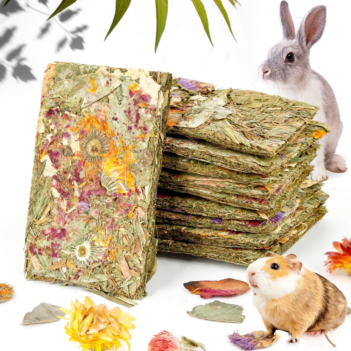 Dailygoods- Hooispeelgoed 10 Stuks - Natuurlijke Konijnen Snacks - Timothy Hooi Krakers - Voer voor Cavia's/Dwergkonijnen - Geschikt voor Chinchilla's/Hamsters - Met Kruiden - Konijnensnacks