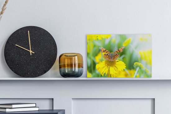 Un papillon sur une toile Aster jaune 30x20 cm - petit - Tirage photo sur toile (Décoration murale salon / chambre)
