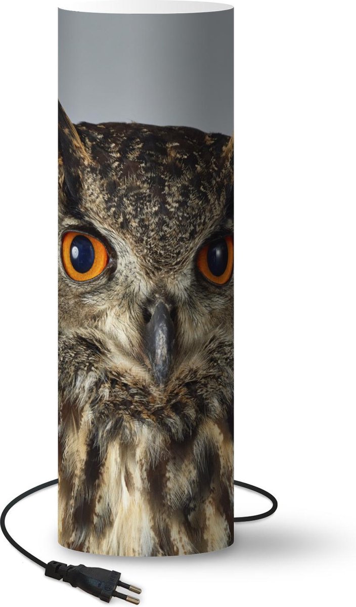 Lamp - Nachtlampje - Tafellamp slaapkamer - Uil - Vogel - Grijs - 50 cm hoog - Ø15.9 cm - Inclusief LED lamp