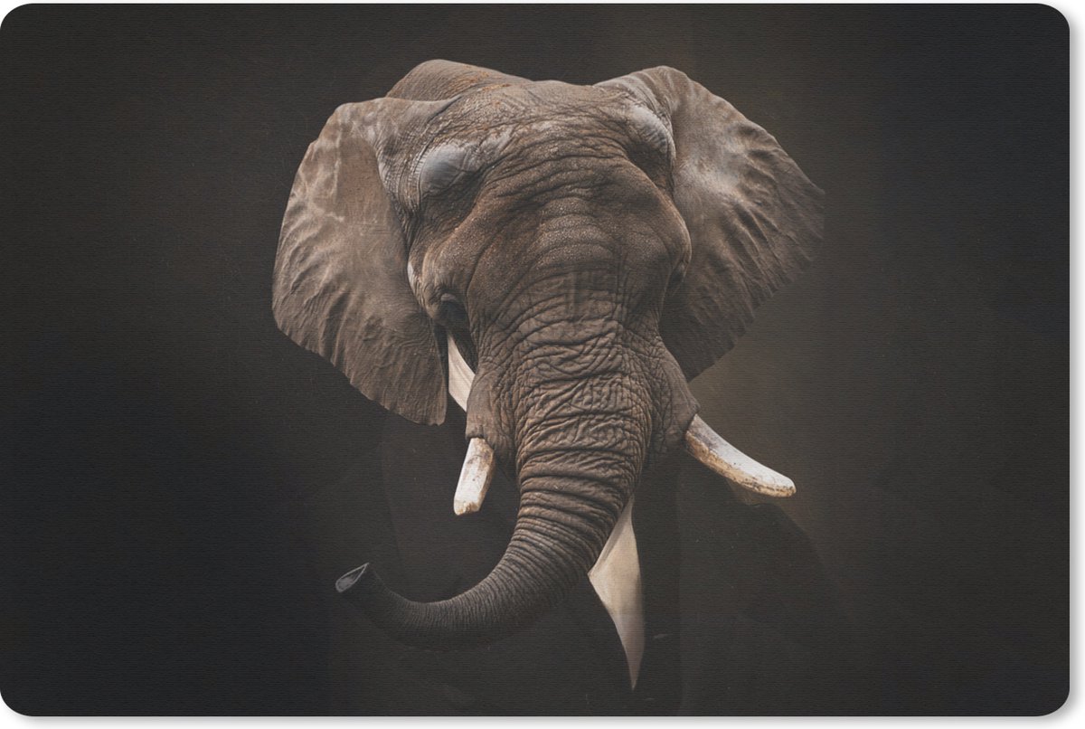 Muismat - Mousepad - Oude meesters - Olifant - Pak - 27x18 cm
