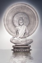 Buddha earth witness – 90cm x 135cm - Fotokunst op PlexiglasⓇ incl. certificaat & garantie.