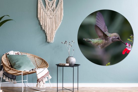 WallCircle - Cercle Mural - Cercle Mural - Colibri - Bloem - Rouge - Aluminium - Dibond - 140x140 cm - Intérieur et Extérieur