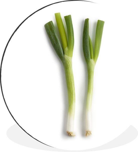 Deux oignons de printemps sur fond blanc Cercle mural aluminium ⌀ 60 cm - impression photo sur cercle mural / cercle vivant / cercle de jardin (décoration murale)