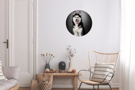 WallCircle - Cercle Mural - Cercle Mural - Husky Sibérien - Aluminium - Dibond - 30x30 cm - Intérieur et Extérieur