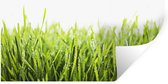 Muurstickers - Sticker Folie - Helder groene gras bedekt met vroege dauw - 80x40 cm - Plakfolie - Muurstickers Kinderkamer - Zelfklevend Behang - Zelfklevend behangpapier - Stickerfolie