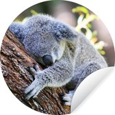 WallCircle - Stickers muraux - Cercle de papier peint - Koala - Tronc d'arbre - Câlin - Kids - Garçons - Meiden - 50x50 cm - Cercle mural - Auto-adhésif - Autocollant rond pour papier peint