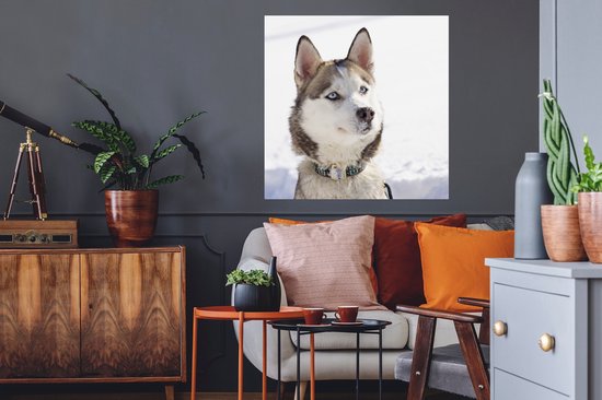 Stickers Stickers muraux - Husky sibérien dans la neige - 50x50 cm - Film adhésif