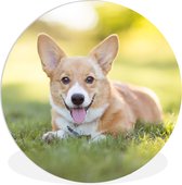 Cercle Mural - Cercle Mural Intérieur - Chiot Welsh Corgi- ⌀ 90 cm - Décoration murale - Peintures Ronds