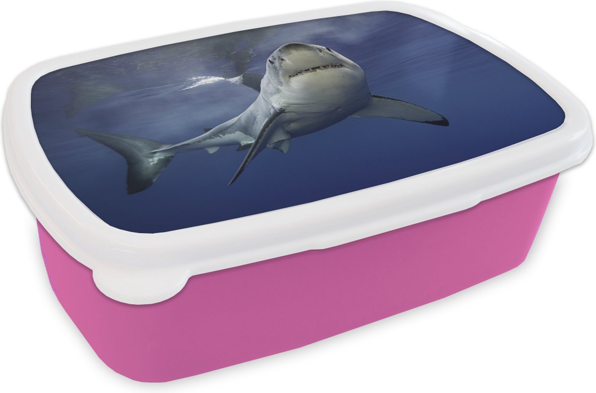 Broodtrommel Roze - Lunchbox - Brooddoos - Grote witte haai - 18x12x6 cm - Kinderen - Meisje