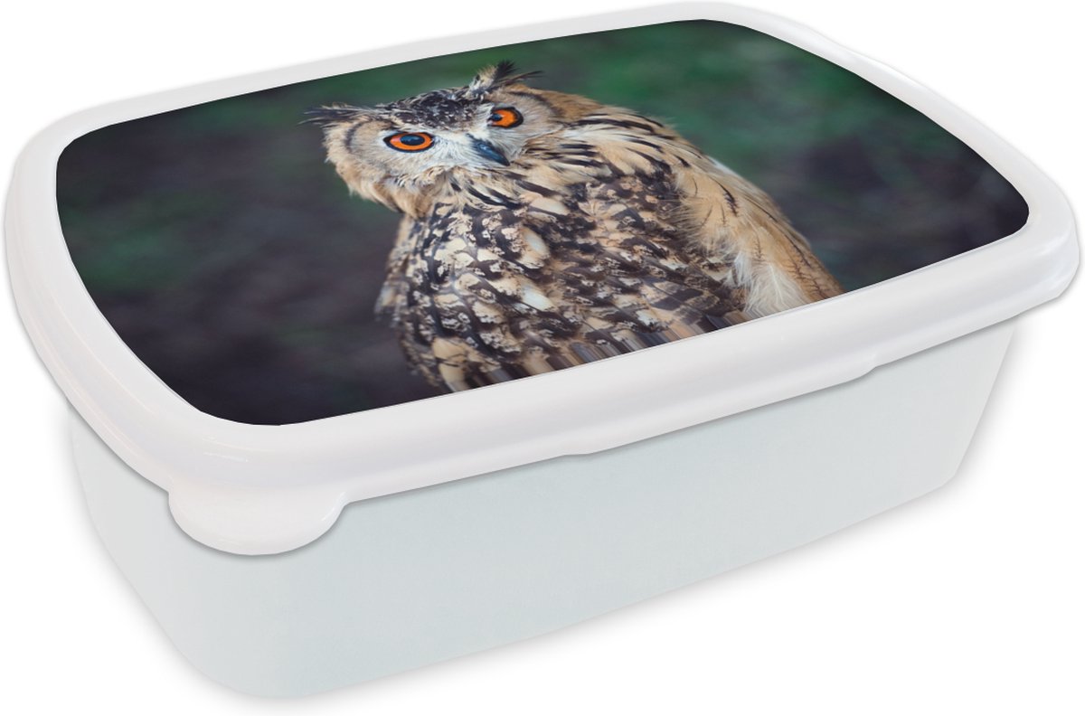 Broodtrommel Wit - Lunchbox - Brooddoos - Oehoe uil - 18x12x6 cm - Volwassenen
