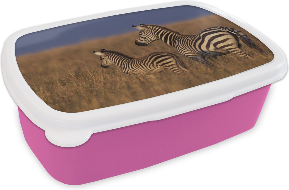 Broodtrommel Roze - Lunchbox - Brooddoos - Moeder en baby zebra - 18x12x6 cm - Kinderen - Meisje