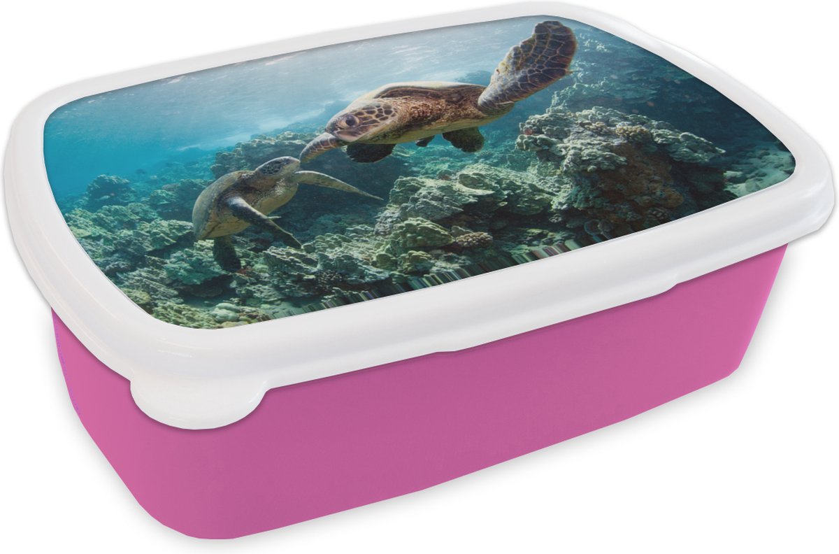Broodtrommel Roze - Lunchbox - Brooddoos - Twee zeeschildpadden - 18x12x6 cm - Kinderen - Meisje