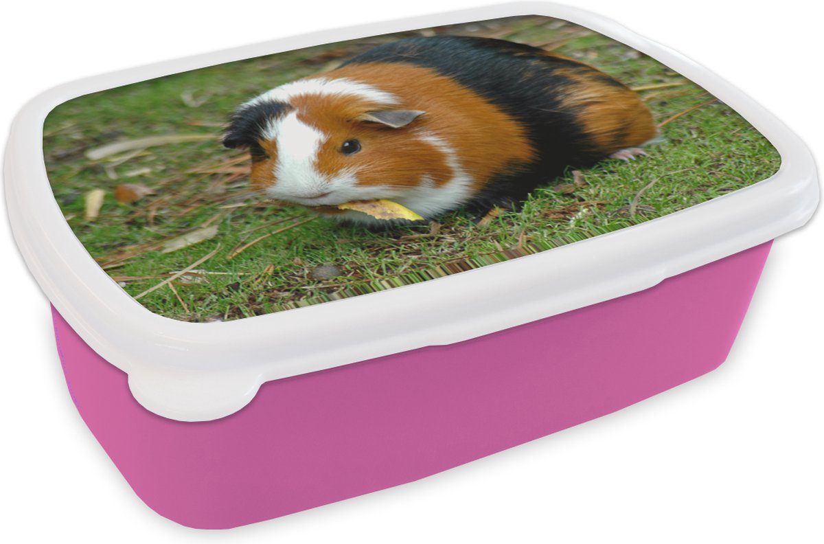 Broodtrommel Roze - Lunchbox - Brooddoos - Cavia buiten - 18x12x6 cm - Kinderen - Meisje