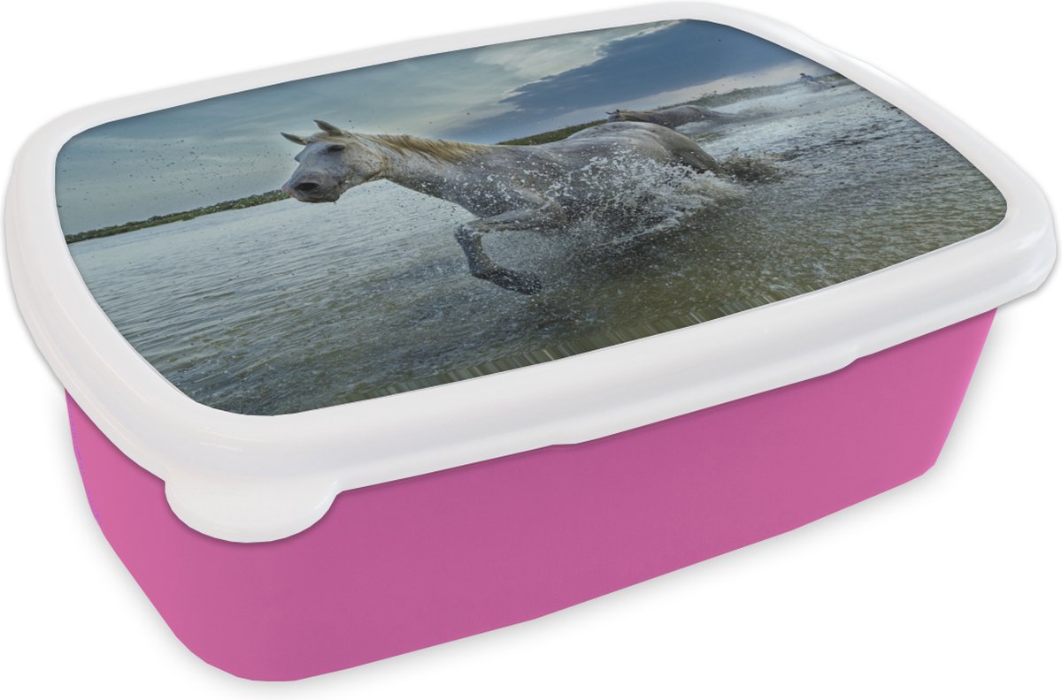 Broodtrommel Roze - Lunchbox - Brooddoos - Paard - Wit - Water - 18x12x6 cm - Kinderen - Meisje