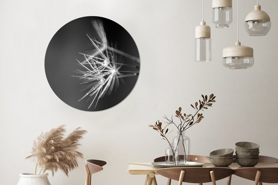 Wall Circle - Indoor Wall Circle - Graines de pissenlit recouvertes de rosée précoce - noir et blanc - ⌀ 90 cm - Décoration murale - Peintures ronds