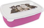 Broodtrommel Roze - Lunchbox Kat - Huisdieren - Vacht - Portret - Brooddoos 18x12x6 cm - Brood lunch box - Broodtrommels voor kinderen en volwassenen
