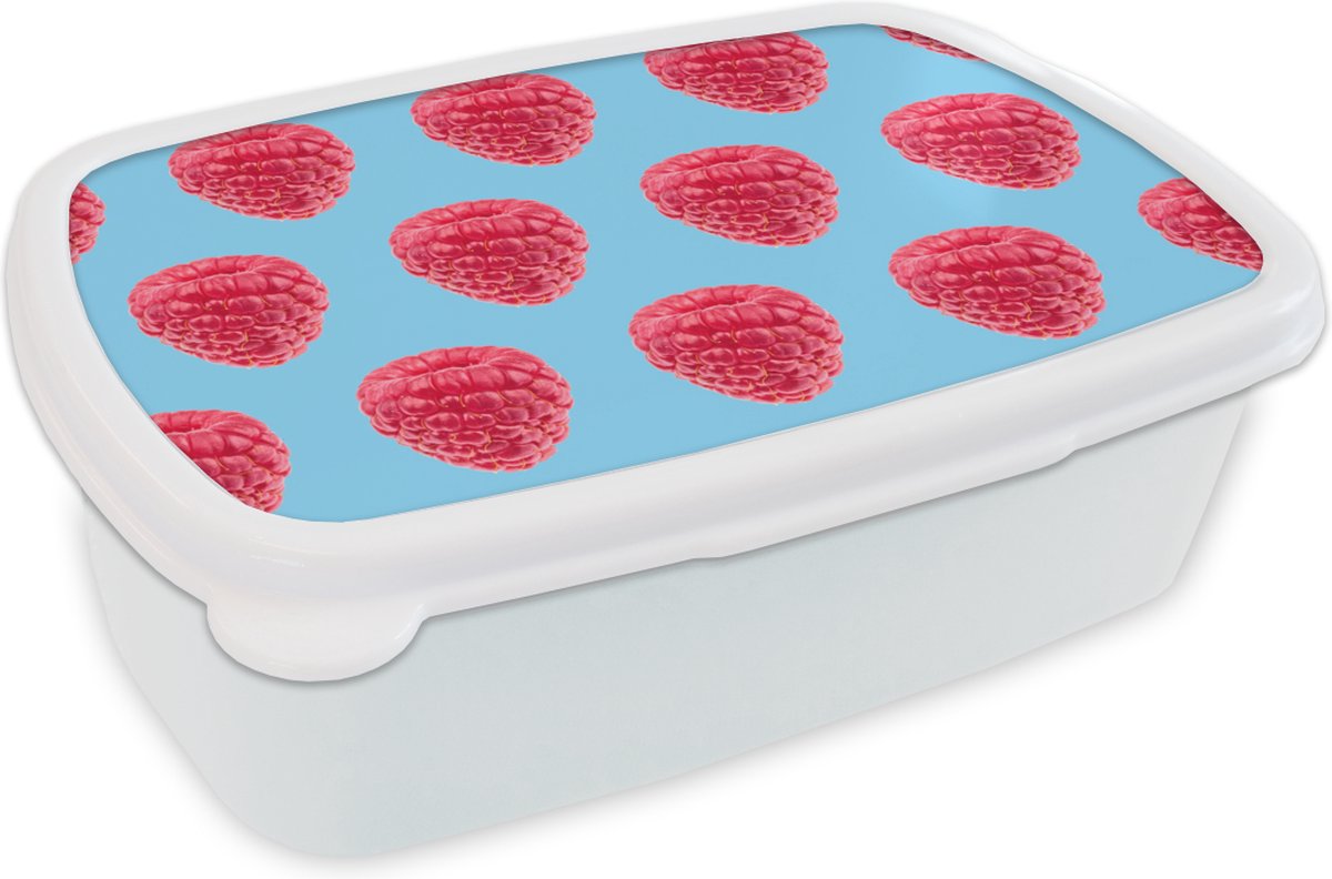 Broodtrommel Wit - Lunchbox - Brooddoos - Framboos - Patroon - Roze - 18x12x6 cm - Volwassenen