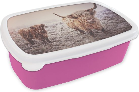 Boîte à lunch Rose - Boîte à lunch - Boîte à pain - Scottish Highlander - Hiver - Neige - Vache - Pâturage - Marron - 18x12x6 cm - Enfants - Fille