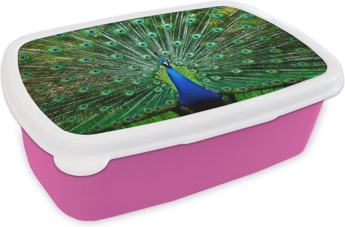 Broodtrommel Roze - Lunchbox - Brooddoos - Pauw - Dieren - Vogel - 18x12x6 cm - Kinderen - Meisje