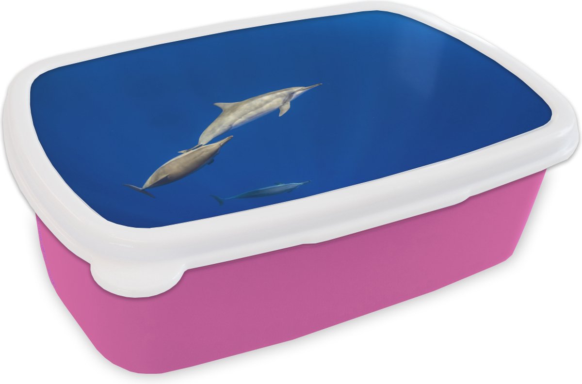 Broodtrommel Roze - Lunchbox - Brooddoos - Dolfijn - Dier - Zee - 18x12x6 cm - Kinderen - Meisje